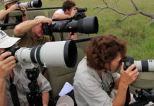 Kenya Photographic Safaris