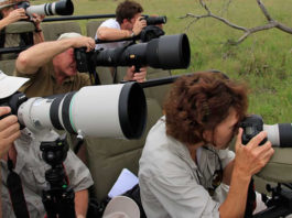 Kenya Photographic Safaris