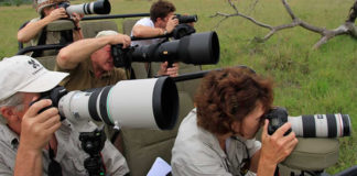 Kenya Photographic Safaris