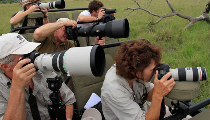 Kenya Photographic Safaris