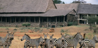 Kenya Wildife Safaris