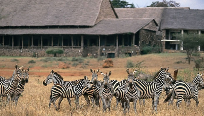 Kenya Wildife Safaris